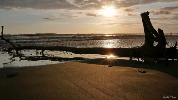 Dominical Costa Rica 2